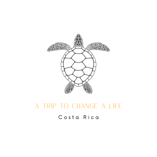 A trip to change a life